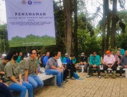 Lebih Kurang 400 Bibit Pohon Kembali Ditanam di Area THK