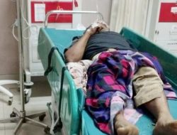 Pasutri Tertimpa Pohon Tumbang di Cikembar Sukabumi