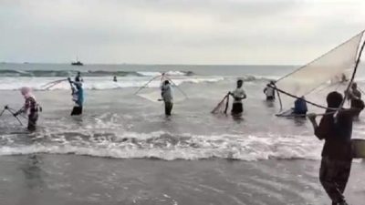 Warga Padati Pantai Berburu Ikan di Pesisir Pantai Citepus