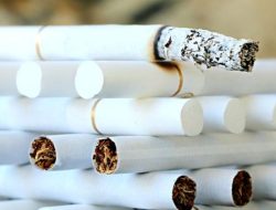 Satpol PP Kabupaten Sukabumi Lakukan Pengawasan Terhadap Rokok Ilegal