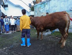 Penyembelihan Hewan Kurban di Kota Bandung Tetap di Lakukan Serempak