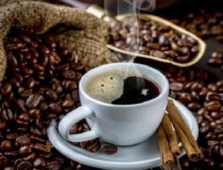 Berbagai Macam Kopi Khas Nusantara