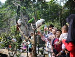 Kisruh Terkait Aset, Kebun Binatang Bandung Terancam Tutup 25 Juli Mendatang