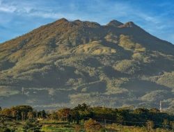 Kabar Duka, Seorang Pendaki Wanita di Temukan Meninggal Dunia di Gunung Lawu