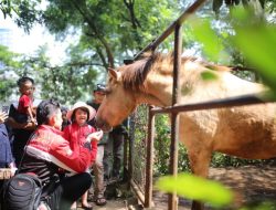 Sesuai Degan Putusan Pengadilan Tinggi Jawa Barat, Pemkot Bandung Segera Ambil Alih Lahan Kebun Binatang