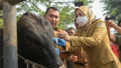 Cegah Penyebaran Antraks, Pemkab Purwakarta Tutup Sejumlah Pasar Hewan