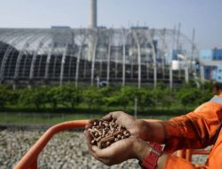 Melalui Teknologi “co-firing” PLN Grup Mampu Turunkan Emisi Karbon Hingga 429 Ribu Ton CO2