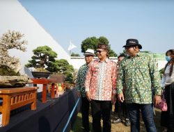 Pameran dan Kontes Bonsai Nasional tahun 2023