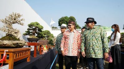 Pameran dan Kontes Bonsai Nasional tahun 2023