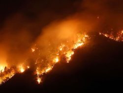 Kebakaran di Gunung Singa Kabupaten Bandung