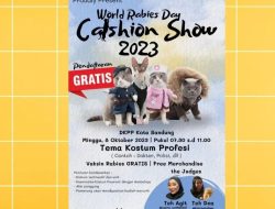 Ayo Siap-siap Lomba Fashion Show Kucing Bakal Digelar di Kota Bandung