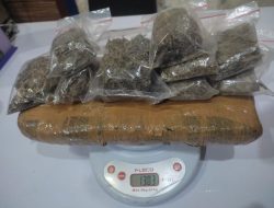 Pemuda Edarkan Ganja di Kabupaten Sukabumi Ditangkap Polisi