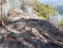 Kebakaran Hutan di Kawasan Taman Nasional Gunung Salak Berhasil Dipadamkan