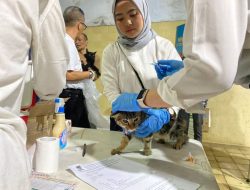 Vaksin Rabies Gratis untuk Kucing, Anjing, Musang, dan Monyet di Kota Bandung
