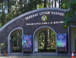 Revitalisasi Taman Hutan Raya Ir. H. Djuanda, Tetap Buka dengan Akses Terbatas