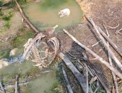 Penemuan Kerangka Manusia di Desa Curug Kabupaten Bogor