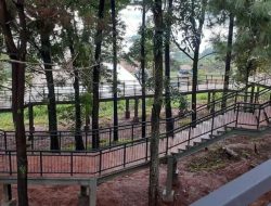Forest Walk Sumedang, Tempat Wisata Baru Lebih Dekat dengan Alam