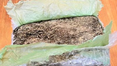 Satuan Reserse Narkoba Polres Cimahi Tapkap 2 Pemuda Pengedar Ganja