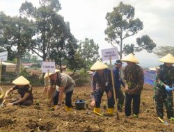 Bank BI Sumbangkan 5.000 Bibit Cabai ke Kota Cimahi