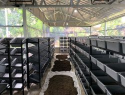 Budidaya Maggot di Sukamiskin, Mengubah Sampah Menjadi Pupuk Berkualitas