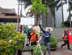 Jaga Penghijauan Kota, Pemkot Bandung Rawat Pohon Pule di Jalan Sudirman