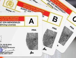 Hore! Mulai 1 Juni 2025, SIM Indonesia Akan Diakui di Negara-Negara Asia Tenggara