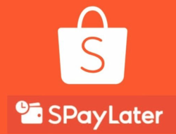 Penggunaan Buy Now Pay Later Tertinggi di Indonesia Ditemukan di Jawa Barat
