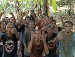 Lebih Untung, Sejumlah Petani di Sukabumi Jadi Live Streamer TikTok