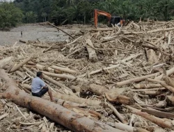 Ribuan Kayu Gelondongan Hanyut di Sumatra, Bareskrim Turun Tangan Selidiki Asal-Usulnya